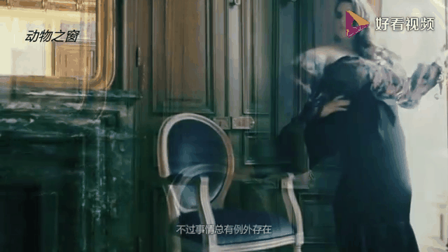 九游体育下载app-包含战术调整首场状态出色，拜仁观众沸腾！，JackeyLove重返赛场观众掌声雷动的词条-九游体育下载app